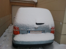 L'arriere de mon toutou sous la neige