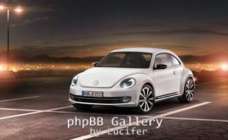 Beetle 2011 1