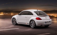 Beetle 2011 2