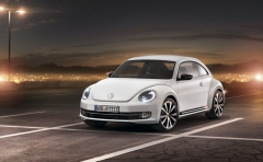 Beetle 2011 3