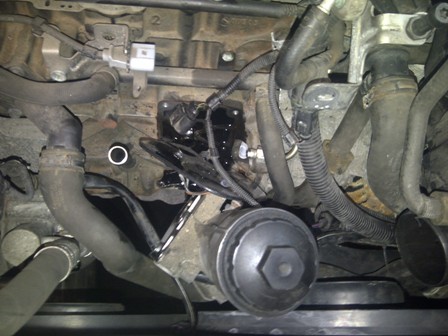 IMG-20120901-00184.jpg
