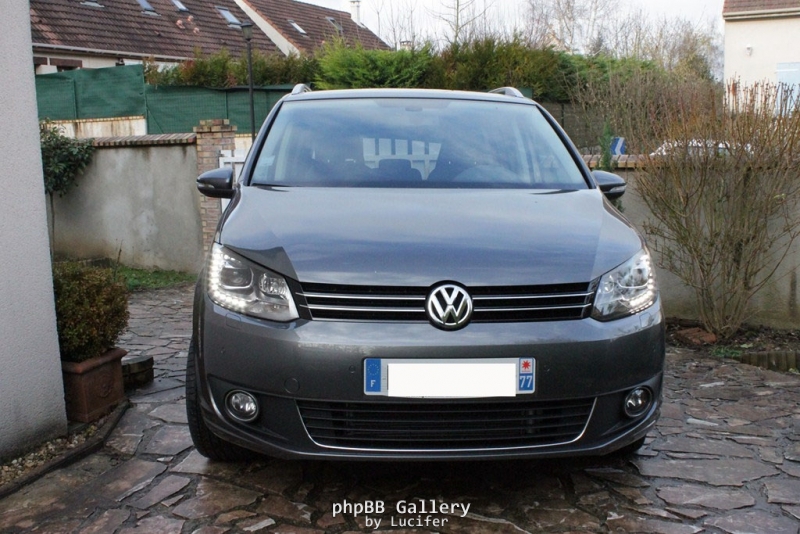 Janvier 2011 052 (Copier)