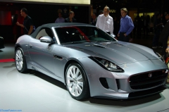 jaguar 03
