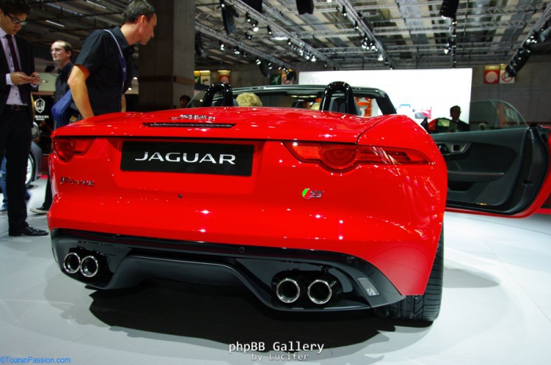 jaguar 06