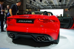 jaguar 06