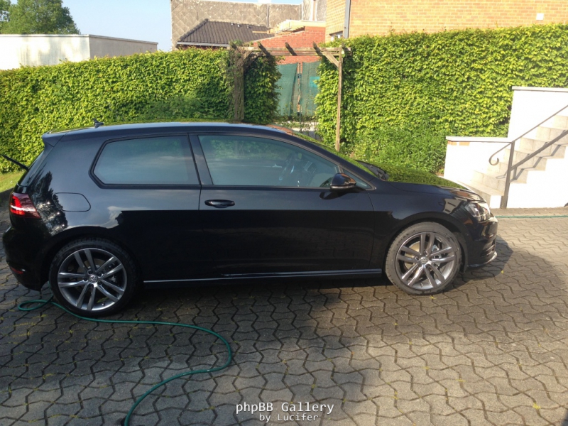 206665golf7