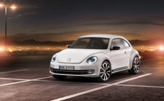 Beetle 2011 1