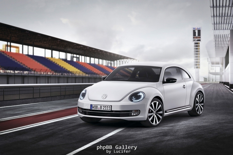 Beetle 2011 8