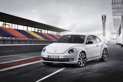 Beetle 2011 8