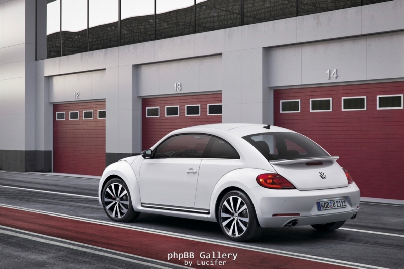 Beetle 2011 9