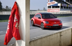 Beetle 2011 10