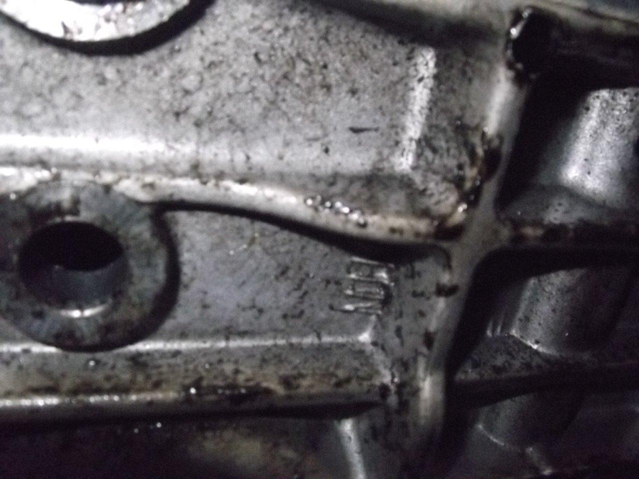 DSCF0670.jpg