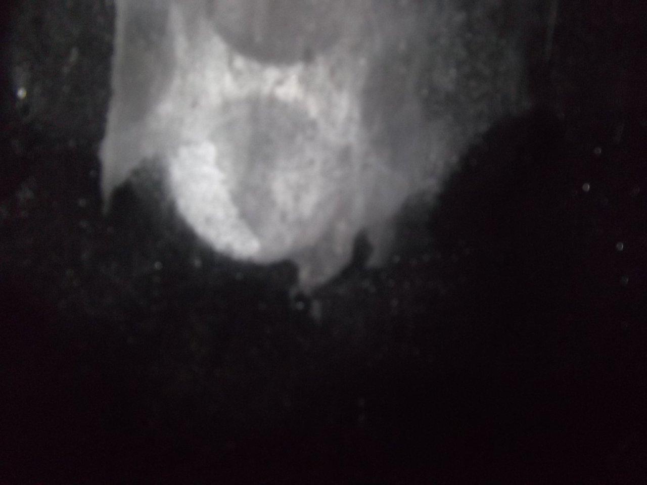 DSCF0678.jpg