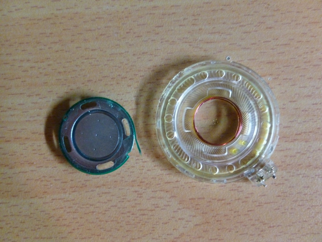 P1000590.JPG