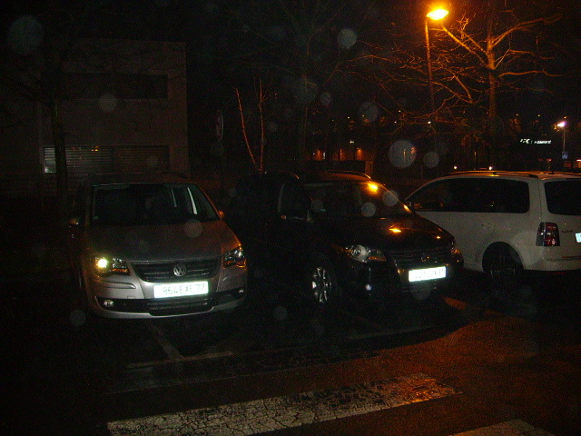 Mini rasso Lognes 13-01-10 005.jpg