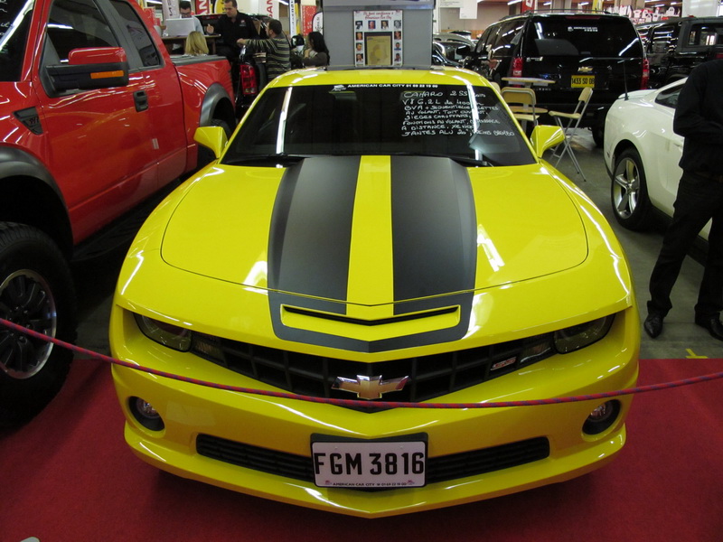 Camaro (1)_redimensionner.JPG