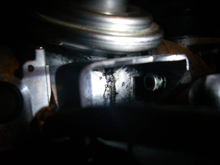 IMGP5507.JPG